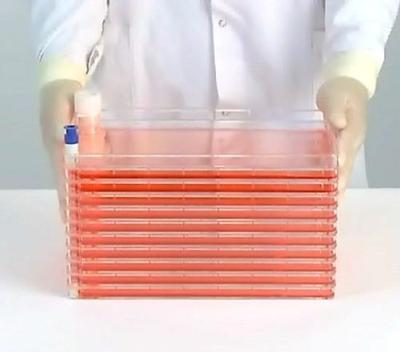 生物學技術的脊梁 運輸商在細胞工廠中的關鍵作用