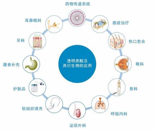 生物科技龍頭華熙生物深度分析 現在是抄底良機嗎？